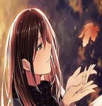 anime-girls-leaves-original-characters-long-hair-wallpaper-preview.jpg