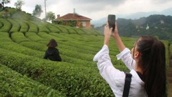 Rize’de turizmi hareketlendiren çay entegrasyonu