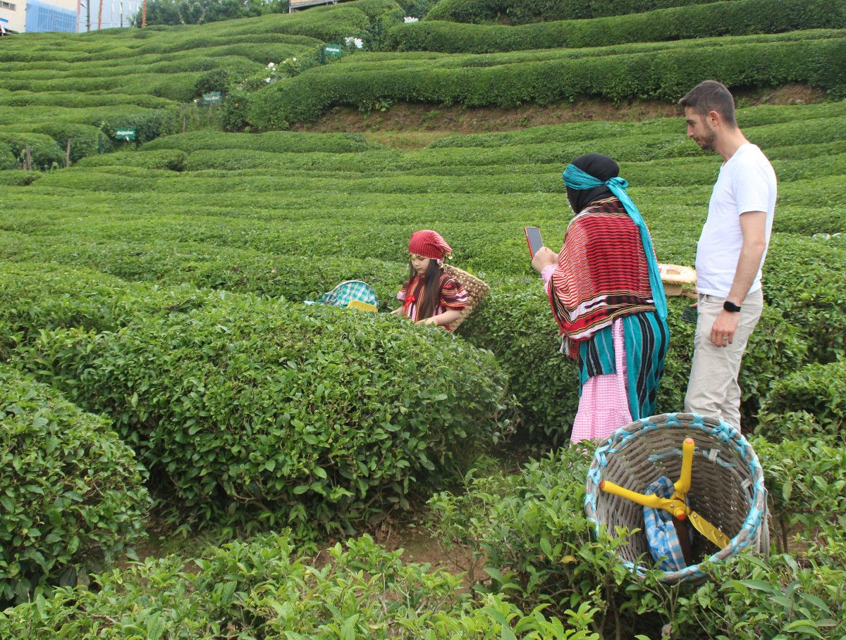 Rize’de turizmi hareketlendiren çay entegrasyonu #2