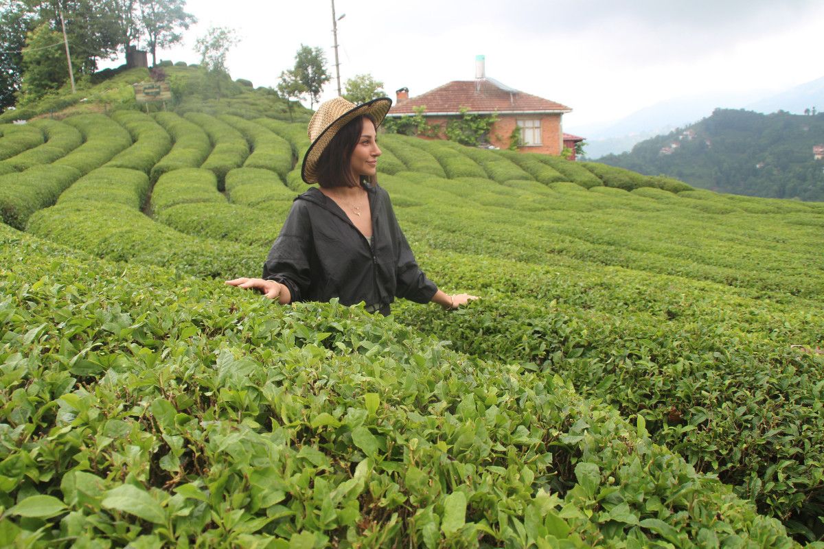 Rize’de turizmi hareketlendiren çay entegrasyonu #1