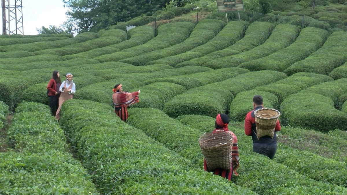 Rize’de turizmi hareketlendiren çay entegrasyonu #4